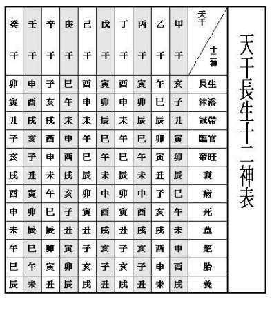 長生子|八字十二長生解讀——長生